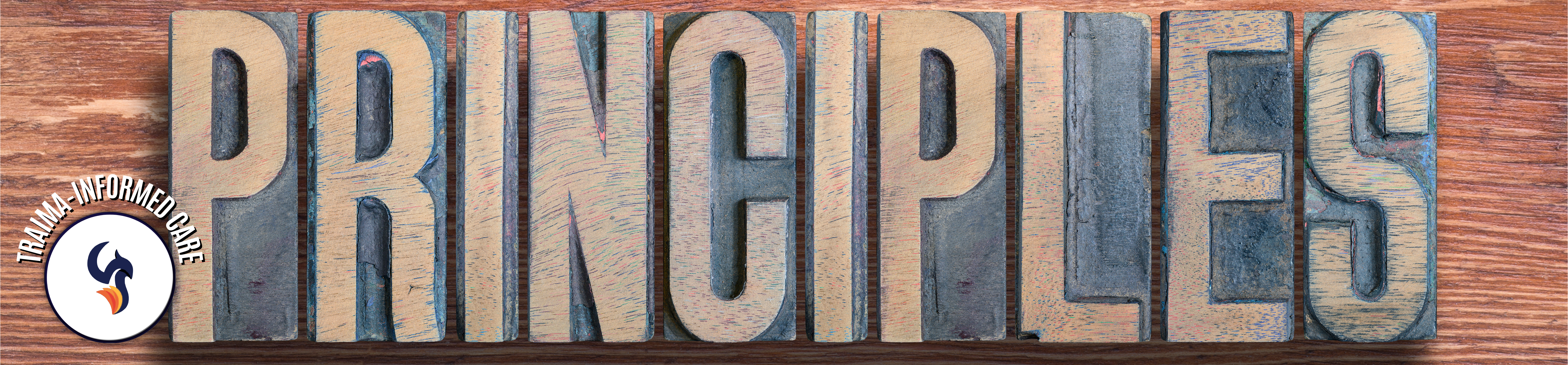 Trauma-Informed Principles & Practices
