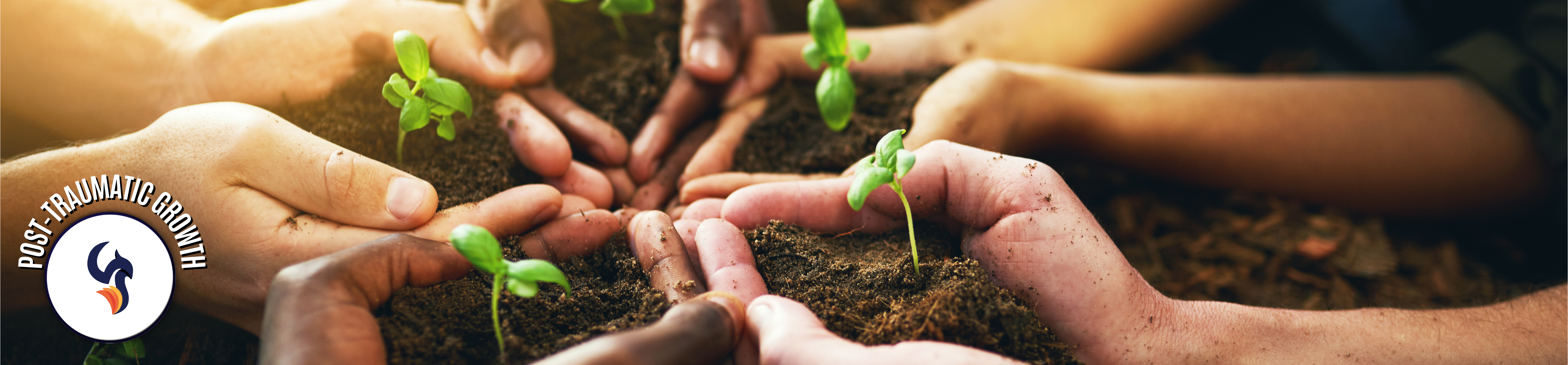 Post-Traumatic Growth by Dr. Scott Giacomucci
