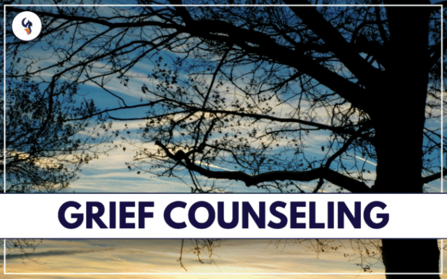 Grief Counseling Grief Counseling at The Phoenix Center in Media, Pennsylvania