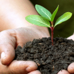 Personal Growth Workshops