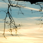 Grief Counseling at The Phoenix Center in Media, Pennsylvania
