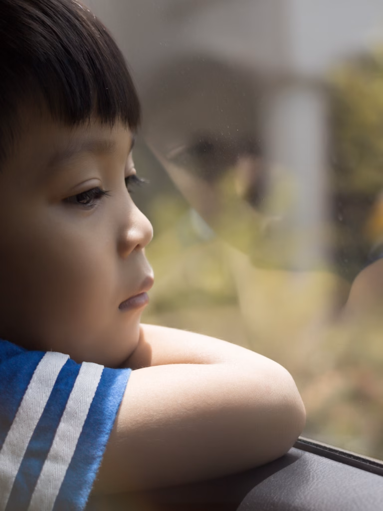 good website size (26) Childhood loss and ambiguous losses